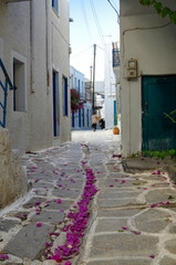 Beautiful romantic narrow backstreet alley lane with typical traditional whitewashed Greek houses in Parikia on the Cyclade Island of Paros