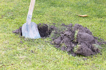 Herbstarbeit im Garten