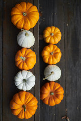 Decorative orange and white pumpkins on dark wooden steps with foreground and background. Thanksgiving Halloween holiday design blank with space for text.