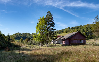 Fototapeta premium wooden house at the edge of the forest fenced