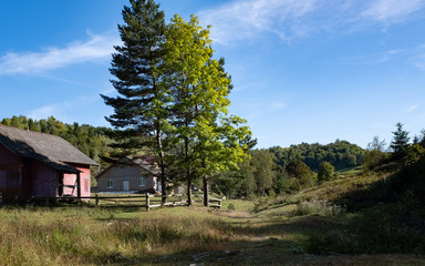 wooden house at the edge of the forest fenced