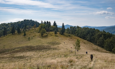 ridge footpath