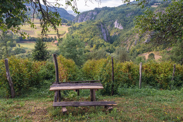 Raspberries field in mountains of Zlatibor area in Serbia