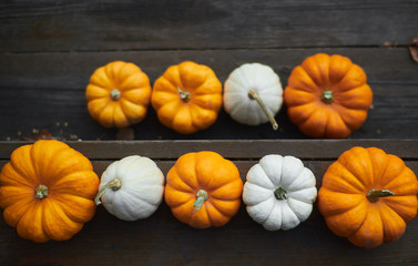 Decorative orange and white pumpkins on dark wooden steps with foreground and background. Thanksgiving Halloween holiday design blank with space for text.