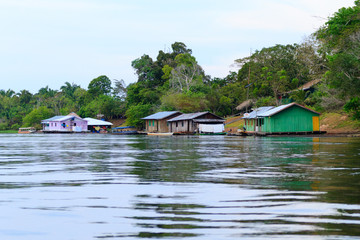 Houses along Amazonas river. Brazilian panorama