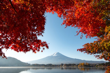 Fuji Mountain and Red Maple Trees in Autumn at Kawaguchiko Lake, Japan