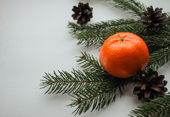 Christmas natural decorations: fir branches, cones, and close up of orange tangerines on a white background. The spirit and smell of Holidays. Copy space