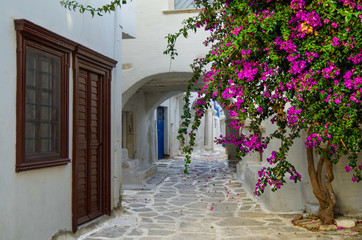 Beautiful romantic narrow backstreet alley lane with typical traditional whitewashed Greek houses...