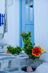 Beautiful romantic narrow backstreet alley lane with typical traditional whitewashed Greek houses and blue door with orange hibiscus in Parikia on the Cyclade Island of Paros