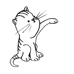 cheerful kitten sitting on its hind legs vector illustration in black ink isolated on white background in hand drawn style