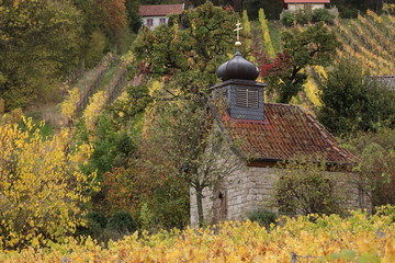 Herbst in den Weinbergen