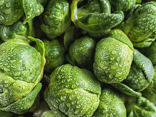 many small heads of brussels sprouts rosenkohl in drops of water close-up.