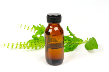 Holy Basil Essential Oil in bottle with Branch of Holy Basil isolated on white background.