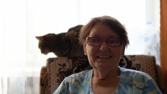 The old woman sits in an armchair and with a cat. Love with friend pet at home