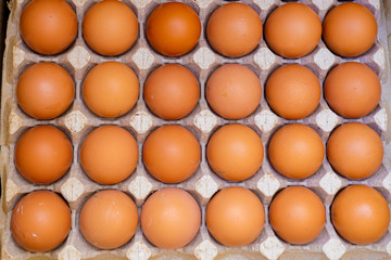 Raw eggs on local market close up