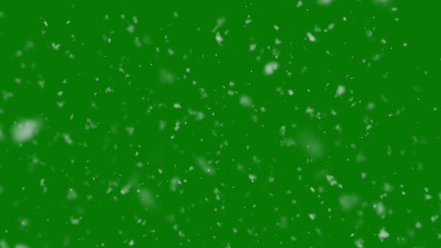 Winter Snow Background. Large and Small Snowflakes Falling Down. Loop