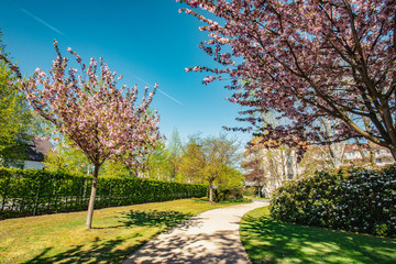 Naklejka premium way of health, soul healting fast