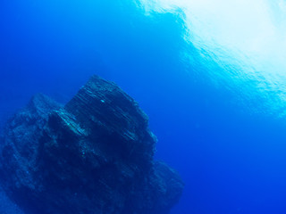 沖縄_慶良間諸島_スキューバダイビング