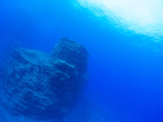 沖縄_慶良間諸島_スキューバダイビング