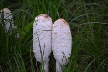 Herbst an der Ostsee