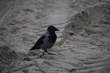 Herbst an der Ostsee