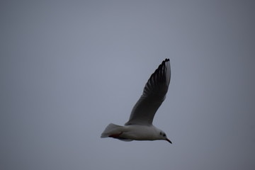 Herbst an der Ostsee