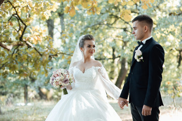 Beautiful newlyweds. Sensual romantic moment. Groom and bride in a wedding dress walking in park. Wedding. Stylish and beautiful.  Beautiful bride and groom. Wedding concept.
