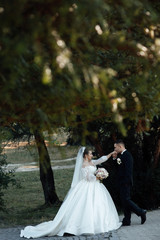 Amazing bride and groom. The groom kisses the bride's hand. Loving wedding couple outdoor. Bride and groom. Sensual romantic moment. Wedding. Stylish and beautiful.