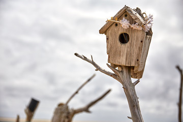 abandoned birdhouse