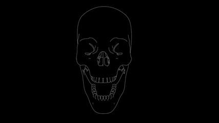 drawing of skeleton skull laughing in black and white