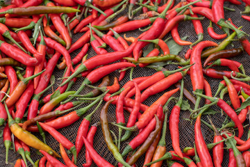 Group of red chilis on sieve to make chillis dried
