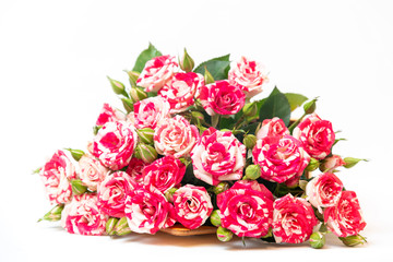 Bouquet of pink roses is in wooden box on a white background. Flowers are horizontal close-up