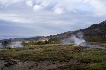 Geysir, Strokkur, geothermal geysers, Iceland