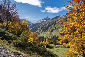 colorful mountain landscape in autumn with golden leaves on trees, Allgau alps in Bavaria, Germany