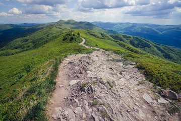 Fototapeta premium Hiking trail from Smerek Peak in Bieszczady National Park, Poland