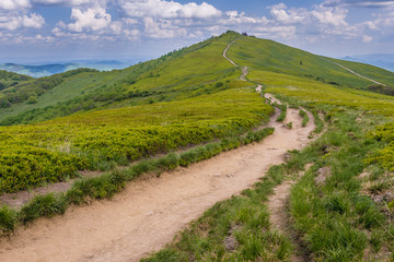 Trail near mountain shelter on a Wetlina Mountain Pastures, part of Bieszczady National Park, Poland