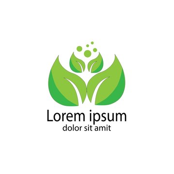 leaf eco business company logo vectore