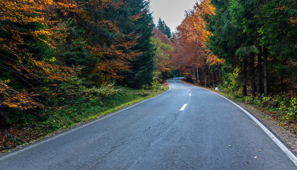 Asphalt road leading trough deciduous woods in the Carpathian mountains in Transylvania at autumn.