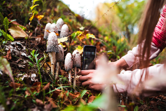 Girl in the autumn forest photographs poisonous mushrooms.