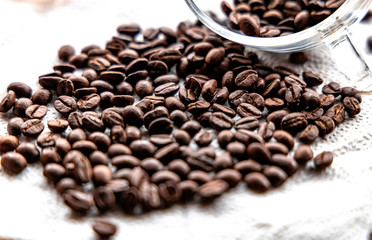 Roasted coffee beans on white background