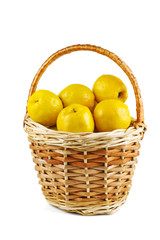 Maules quince (Chaenomeles japonica) in wicker basket isolated on white background