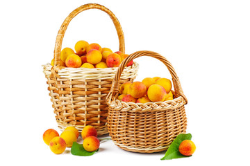 Fresh apricots in wicker baskets isolated on white background