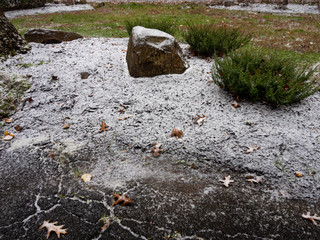 first dusting of snow of the season in the garden