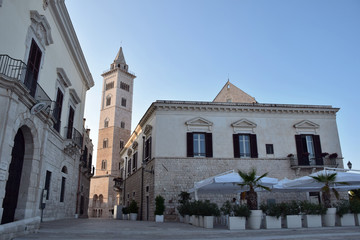 Fototapeta na wymiar View of the Cathedral in Trani, Italy