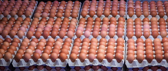 Stacks of fresh eggs in a market. Banner format.