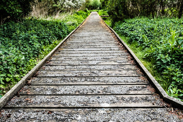 Obraz premium Low level view of a raised walkway showing the non-slip surface seen within a small nature reserve Island.