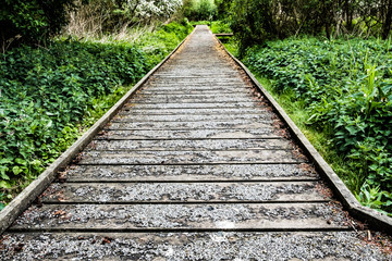 Low level view of a raised walkway showing the non-slip surface seen within a small nature reserve Island.