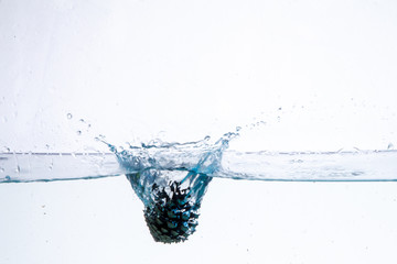 Water Splash Photography: a conifer cone falling in water creating a large splash on a white background