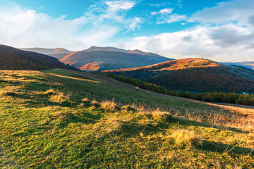 beautiful rural landscape in mountains. wonderful autumn scenery in evening light. mountain ridge and rolling hills behind the grassy meadow in weathered grass. dramatic sky with clouds