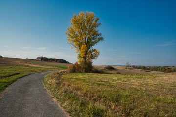 Fototapeta na wymiar Landschaft und Felsweg im Herbst